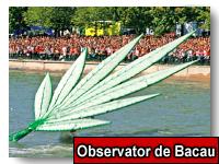 Onestenii si bacauanii au zburat bine la flugtag