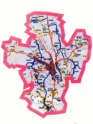 Se infiinteaza Asociatia Nationala a Zonelor Metropolitane si a Aglomerarilor Urbane