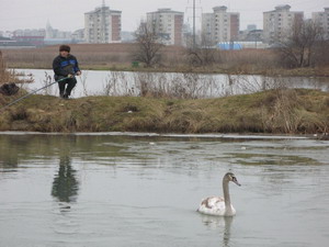 Mai putina poluare, mai mult bun simt