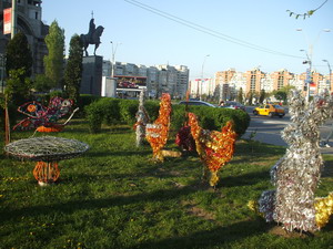 Bacăul a căpătat aspect rural