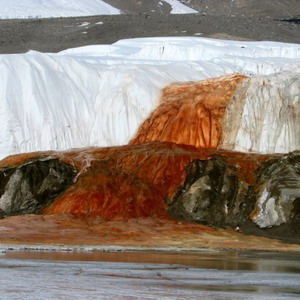 O colonie de microbi, veche de 1,5 milioane de ani, a fost descoperită sub gheaţa Antarcticii