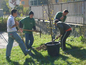 Program de educatie ecologica