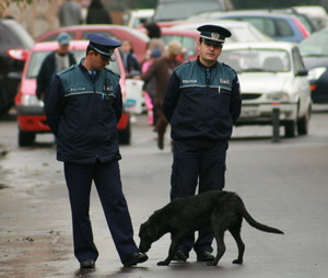 12.000 de euro spaga pentru un post in Politie