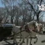 Un american şi-a transformat Hummer-ul în căruţă (VIDEO)