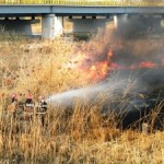 Incendiu pe malul Bistriţei (video)