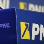 Marga, Meleşcanu, Câmpeanu, Diaconu, Helvig, Dobre, printre miniştrii guvernului alternativ al PNL