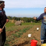 Agricultorii trebuie sa plateasca TVA pentru ultimii cinci ani