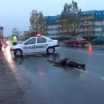 Cercetat în stare de arest preventiv pentru ucidere din culpă și părăsirea locului accidentului