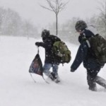 Peste 200 de unitati scolare au fost inchise in judetul Bacau