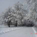 Temperaturile  sub -15 grade in Bacau pana duminica. De luni reincep ninsorile