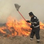 Incendii de vegetație uscată