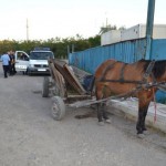 Hemeius: Barbat cercetat pentru furt calificat după ce a sustras bunuri din societatea la care lucra