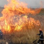 Arde judetul! Incendii de vegetație uscată și deșeuri menajere