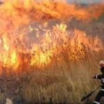 Incendii de vegetaţie uscată și deșeuri menajere