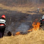 Incendii de vegetaţie uscată