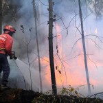 Pompierii continua sa supravegheze incendiul de la Brusturoasa