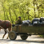 Doi căruțași băuți implicați într-un accident rutier cu victime