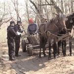 Acţiuni în cooperare cu structurile abilitate în domeniul combaterii sustragerii de material lemnos