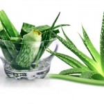 Aloe vera – planta minune pentru piele